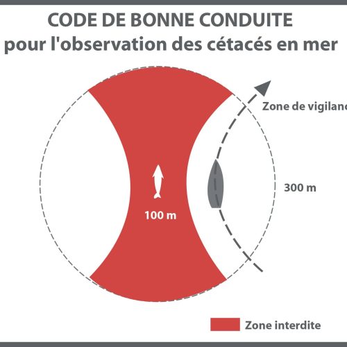 Code de bonne conduite