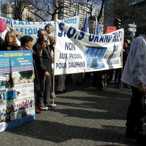 Manifestation contre la captivité à Paris